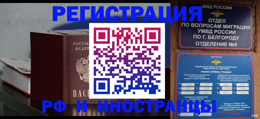 прописка 2025 в Шебекино